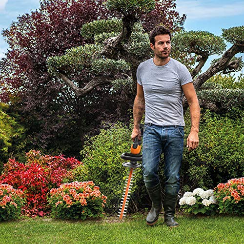 WORX 20V Cordless Hedge Trimmer, 22" Dual-Action Blades, Lightweight, PowerShare Compatible